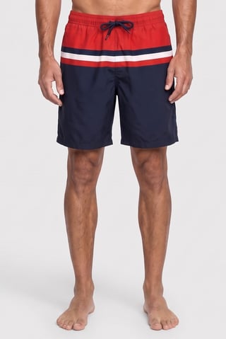 Men Colorblock Board Shorts, Multicolor