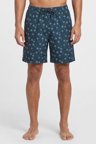 Men Allover Print Board Shorts, Multicolor