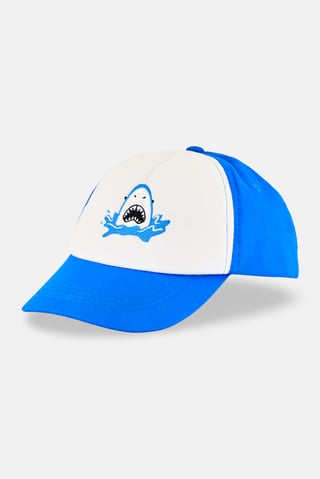 Kids Boy Embroidered Adjustable Closure Cap, Multicolor