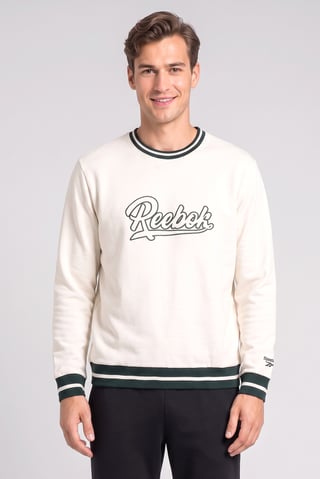 Men Sportswear Fit Long Sleeve Outdoor Sweatshirt, Beige