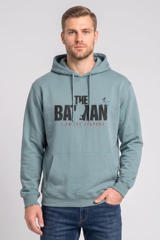 Men Long Sleeve Graphic Print Hoodie, Sage Green