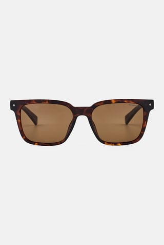 Men PLD 6044 S Square Sunglasses, Brown