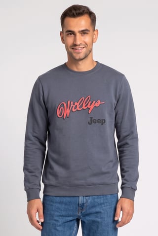 Men Crew Neck Long Sleeve Brand Logo Sweatshirt, Grey