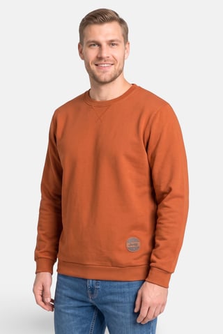Men Brand Logo Long Sleeve Sweatshirt, Rust