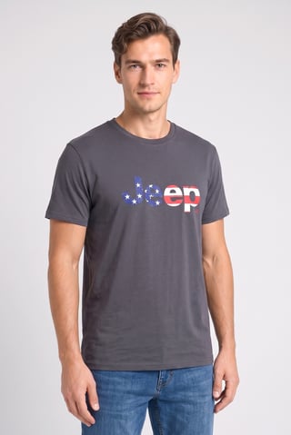 Men Crew Neck Short Sleeve Brand Logo T-Shirt, Dark Grey