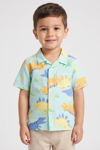 Toddlers Boy Short Sleeve Graphic Print Shirt, Multicolor