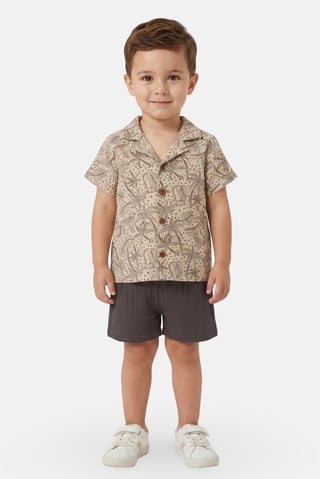 Toddlers Boy 2Pcs Short Sleeve Shirt And Shorts Set, Multicolor
