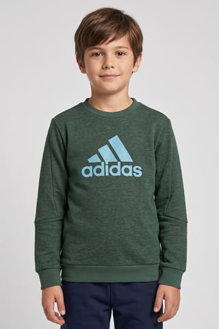 Kids Boy Sportswear Fit Long Sleeve Outdoor Sweatshirt, Green