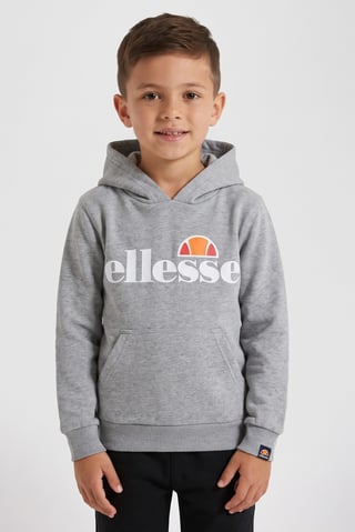 Toddlers Boy Brand Logo Hooded Sweatshirt, Heather Grey