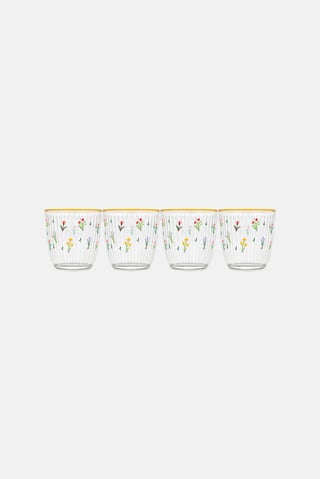 Botanical 4-Piece Tumbler Set 290 ml, Transparent