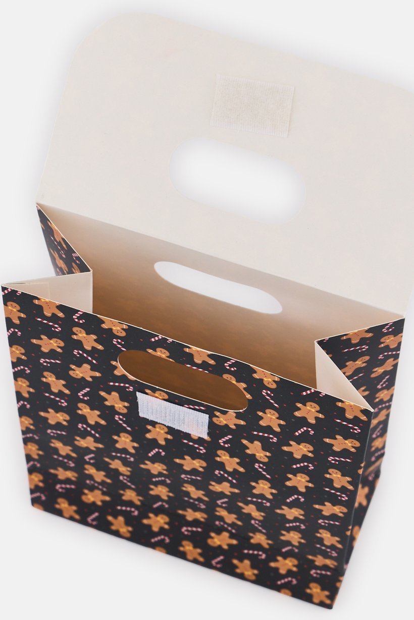 Set Of 2 Pieces Allover Print Christmas Gift Paper Bag, Multicolor