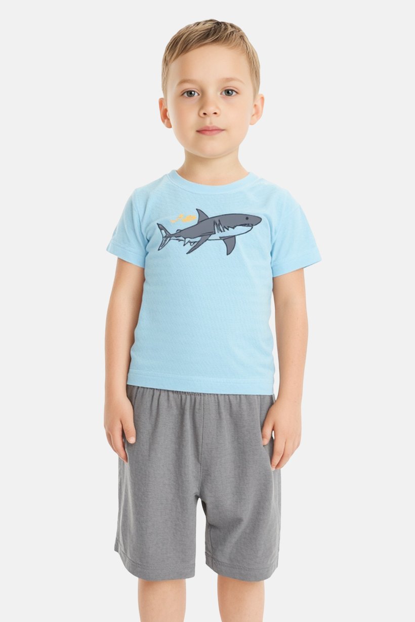 Kids Boy 2 Pieces Graphic Print T-Shirt And Shorts Set, Multicolor