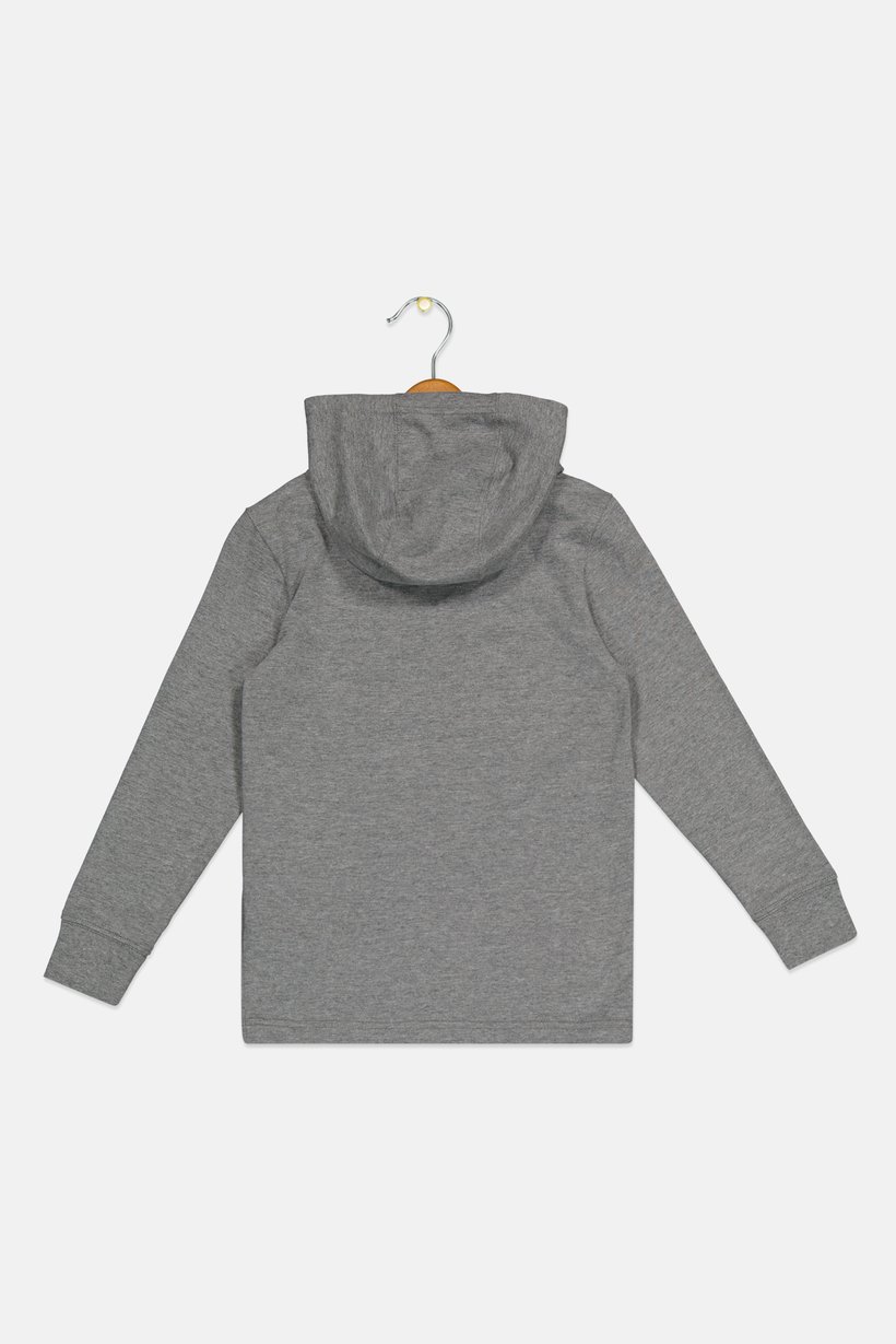 Toddlers Boy Brand Logo Long Sleeve Hoodies, Grey