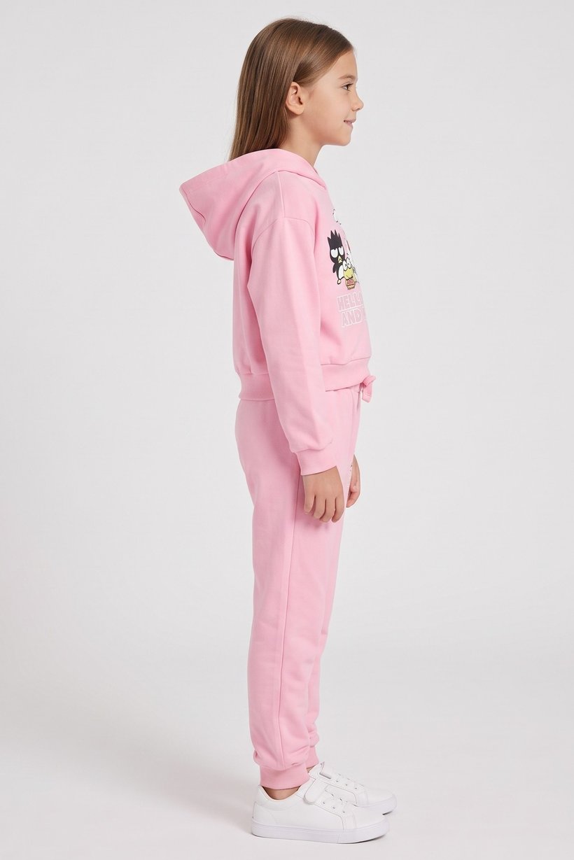Kids Girl 2 Pieces Hello Kitty And Friend Hoodie And Pants Set, Pink