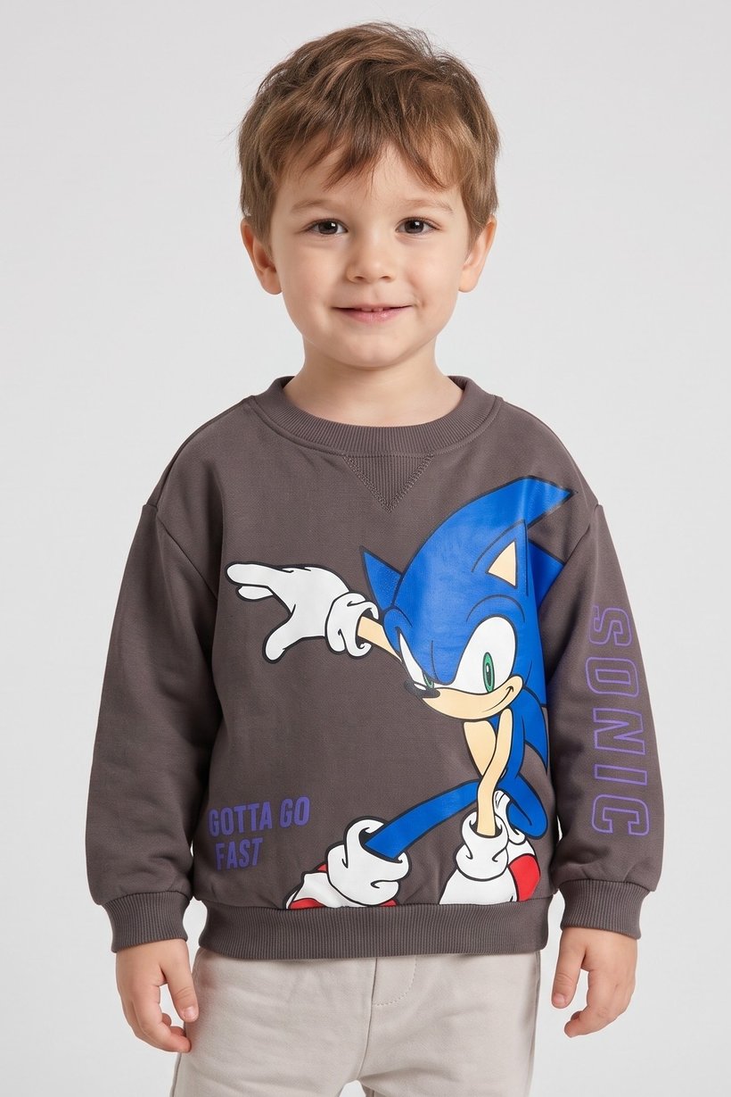 Sonic The Hedgehog x Sega Toddlers Boy Crew Neck Graphic Print Long Sleeve Sweatshirt, Brown