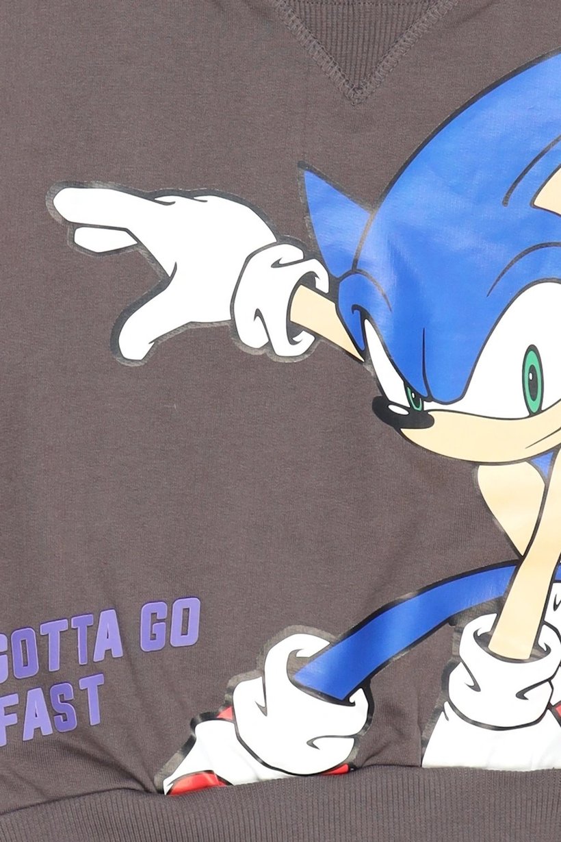 Sonic The Hedgehog x Sega Toddlers Boy Crew Neck Graphic Print Long Sleeve Sweatshirt, Brown