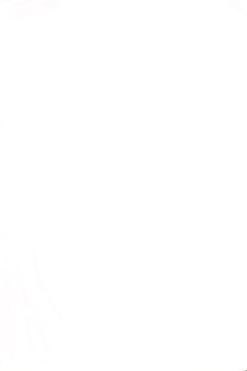 Women 2 Pieces Solid Sleeveless Sleepwear Tank Top, Multicolor