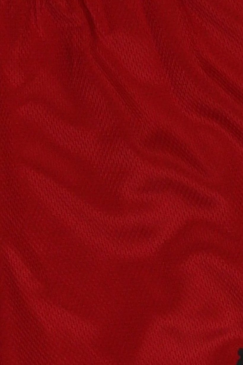 Kids Boy Sportswear Fit Basketball Shorts, Dark Red