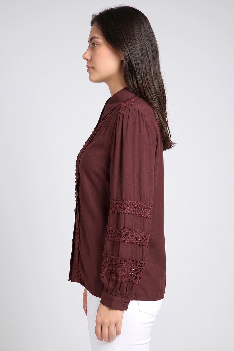Women Pointed Collar Long Sleeve Embroidered Shirt, Dark Brown