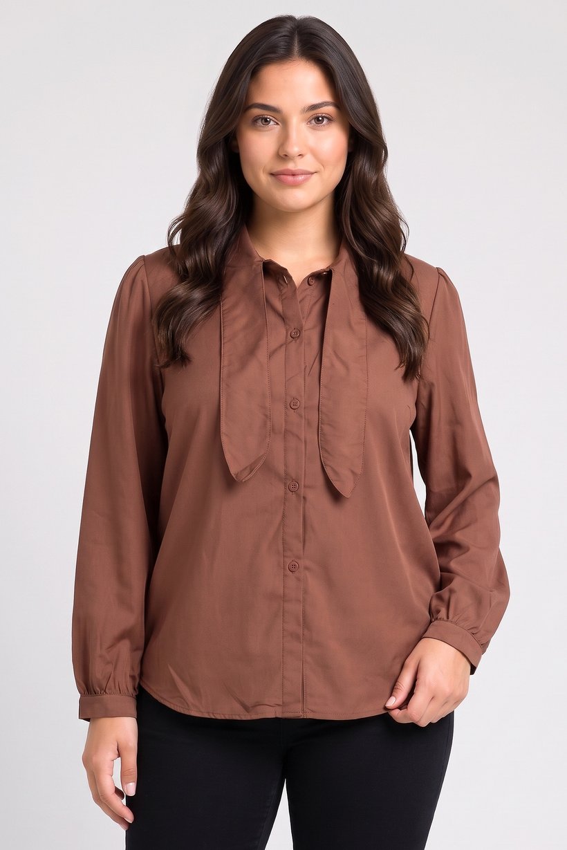 Women Tie Neck Long Sleeve Solid Shirt, Brown