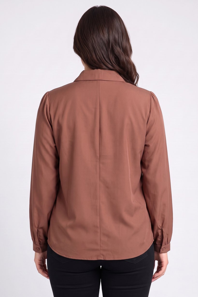 Women Tie Neck Long Sleeve Solid Shirt, Brown