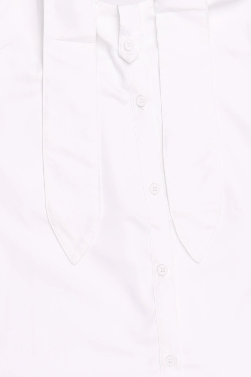 Women Pointed Collar Long Sleeve Solid Blouse, White