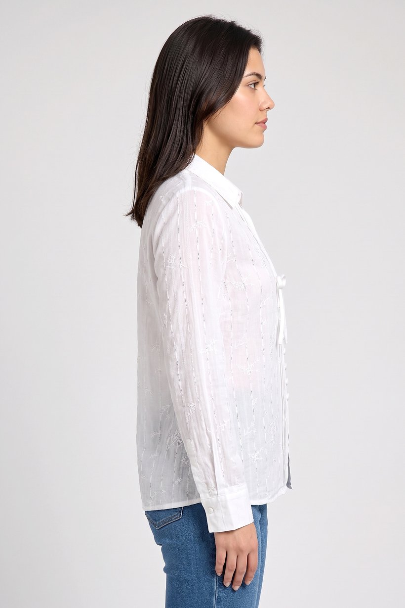 Women Spread Neck Long Sleeve Embroidered Blouse, White