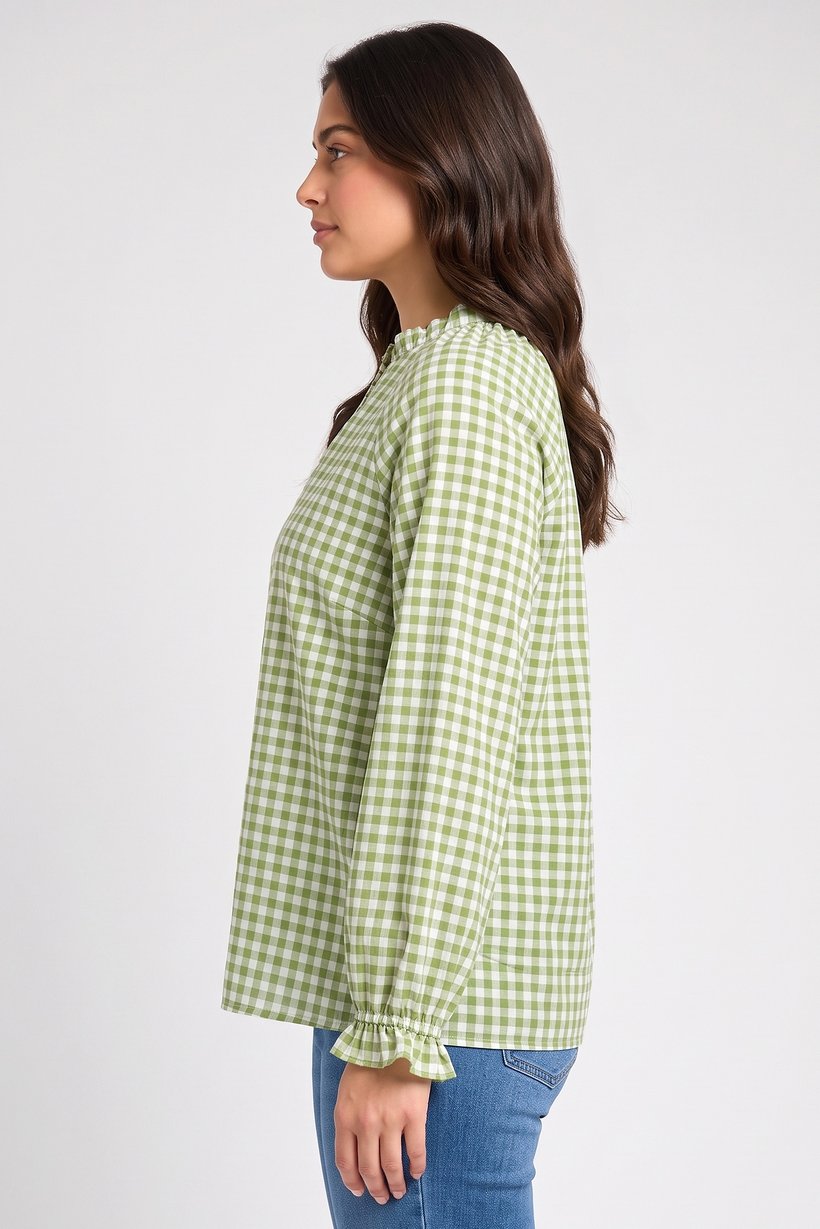 Women V-Neck Long Sleeve Gingham Print Blouse, Multicolor