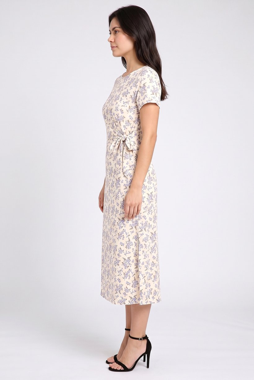 Women Floral Print Maxi Dress, Multicolor