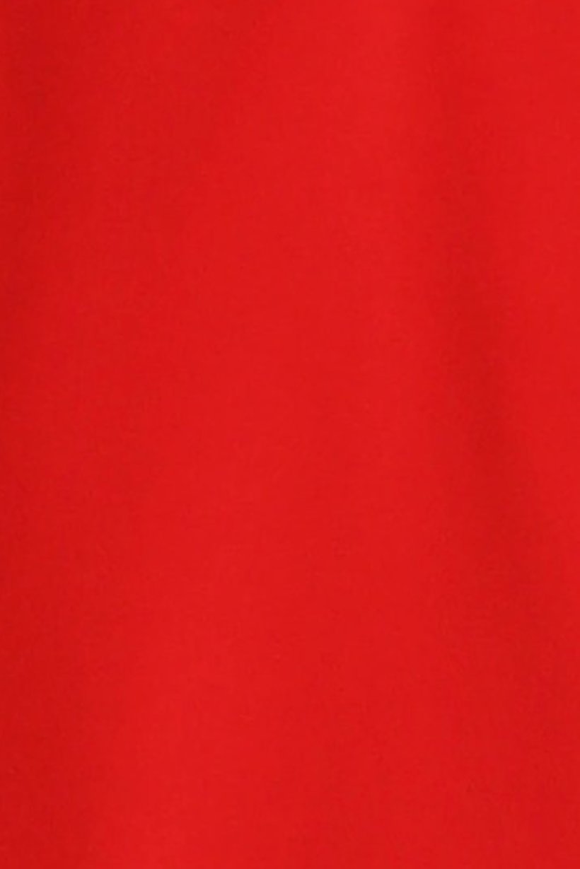Men Regular Fit Training Short, Red