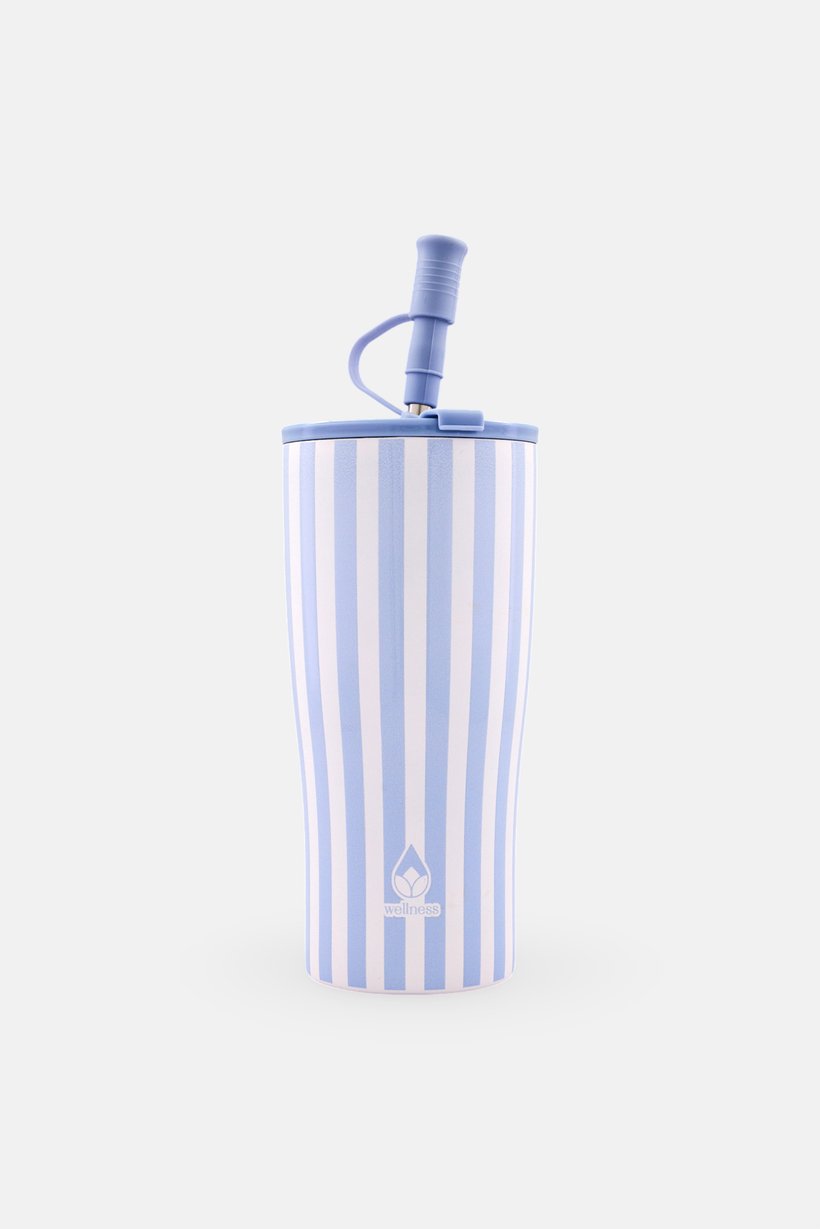 Insulated Stainless Steel Tumbler, Multicolor