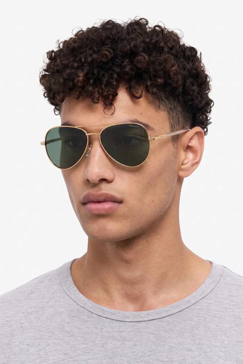 Men PLD 4186/G/S/X Aviator Sunglasses, Gold