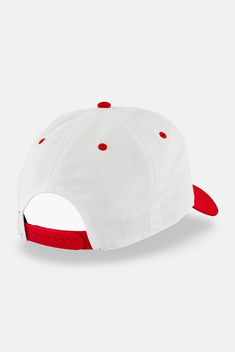Men Embroidered Adjustable Cap, Multicolor