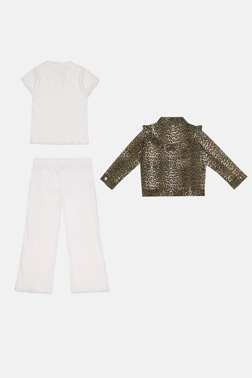 Toddlers Girl 3 Pieces Animal Printed Long Sleeve Tops And Pants Set, Multicolor