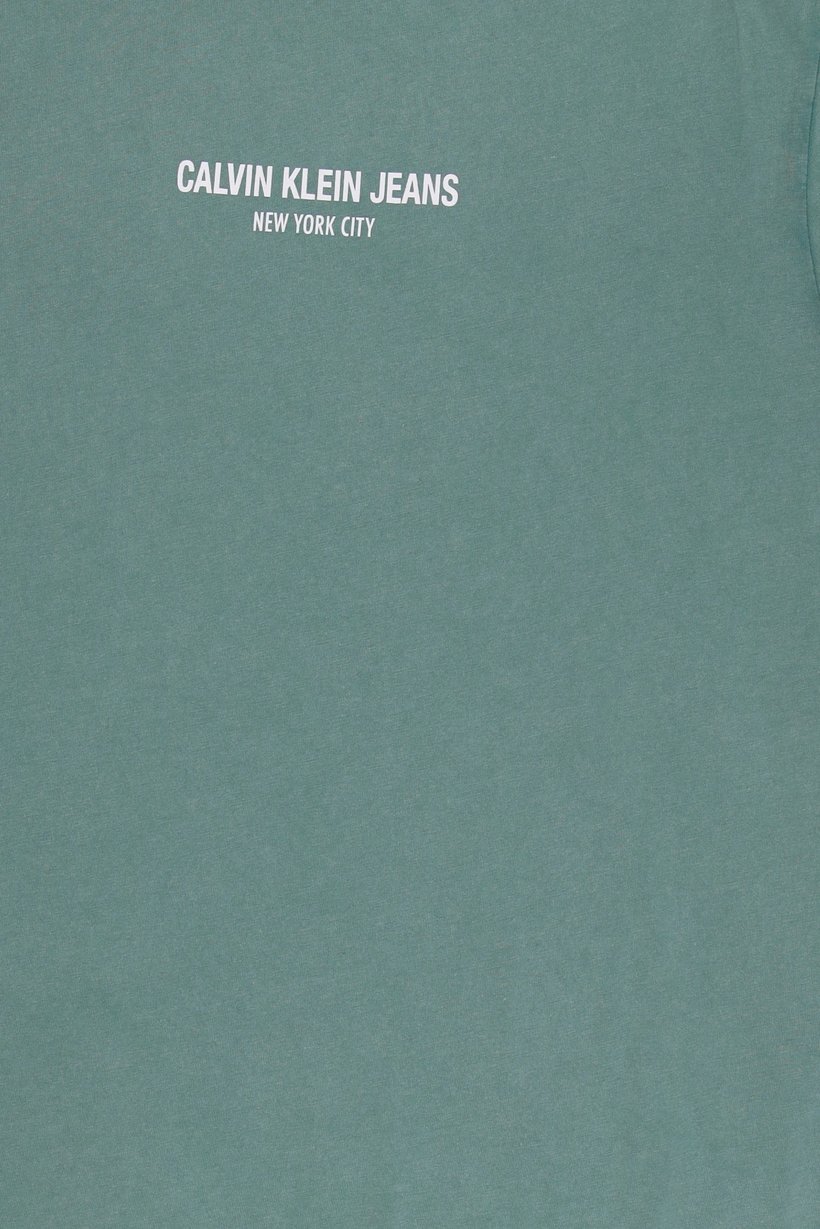 Calvin Klein Jeans Men Crew Neck Short Sleeve Brand Logo T-Shirt, Wash Green