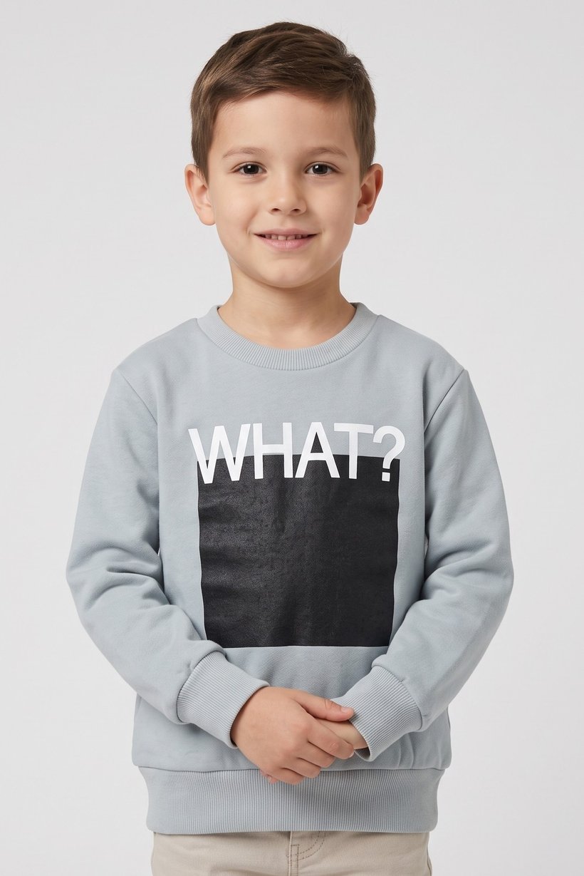 Kids Boy Crew Neck Long Sleeve Graphic Print Sweatshirt, Light Grey