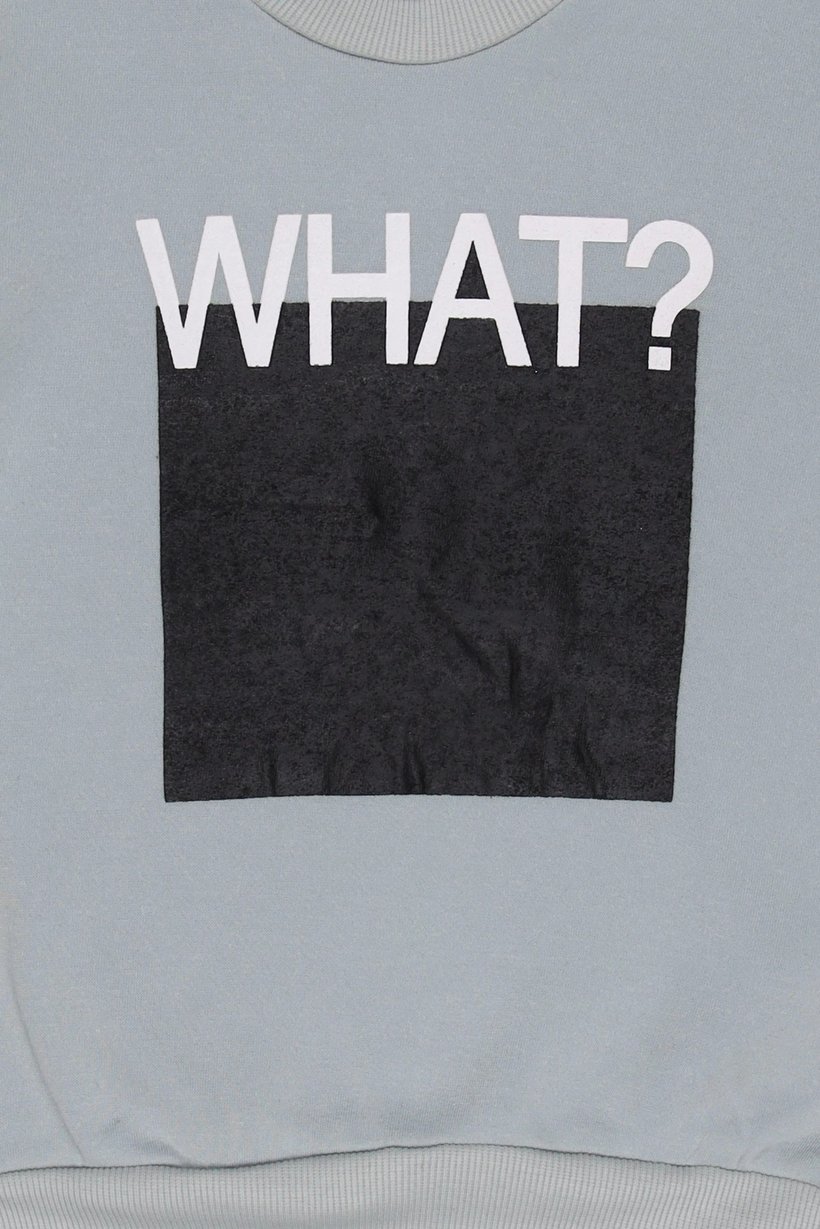 Kids Boy Crew Neck Long Sleeve Graphic Print Sweatshirt, Light Grey