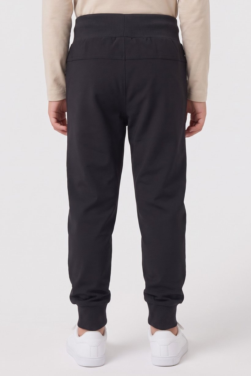 Toddlers Boy Brand Logo Jogger Pants, Charcoal