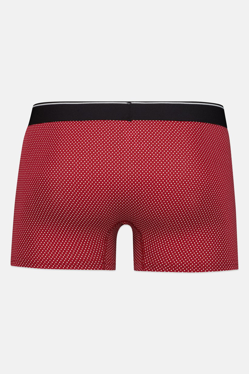 Men Polka Dot Boxer Brief, Multicolor