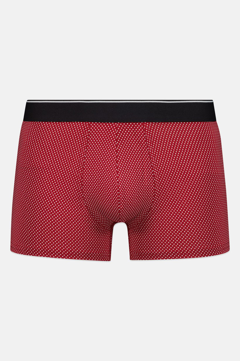 Men Polka Dot Boxer Brief, Multicolor