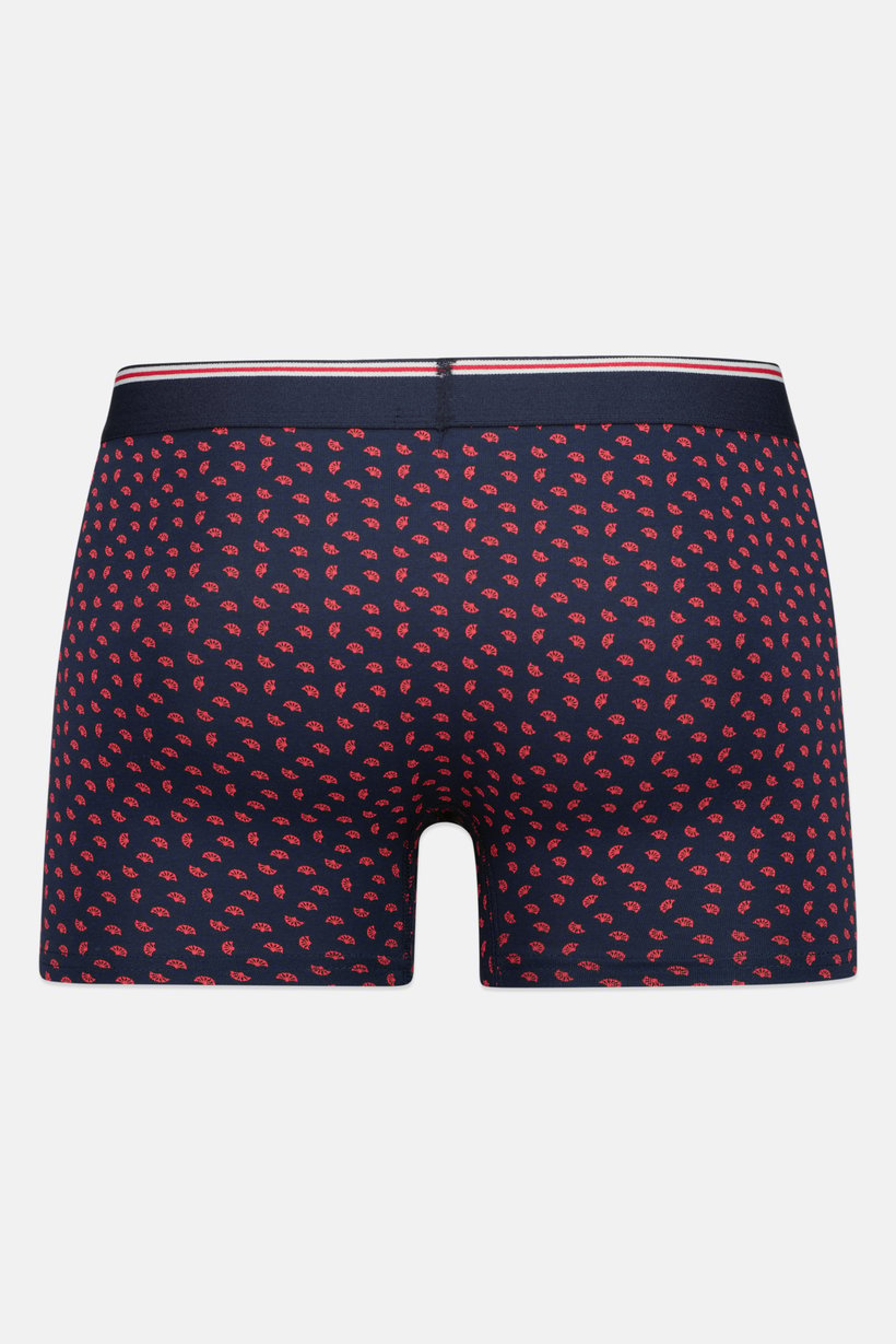 Men Allover Print Boxer Brief, Multicolor