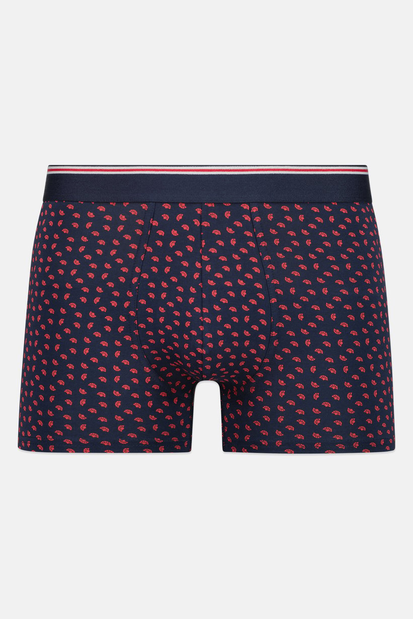 Men Allover Print Boxer Brief, Multicolor