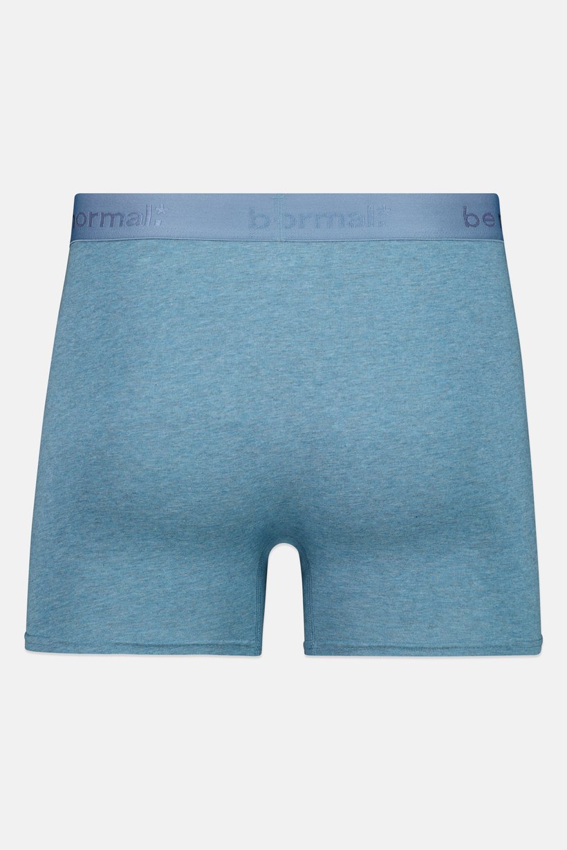 Men 1 Piece Brand Logo Boxer, Heather Blue