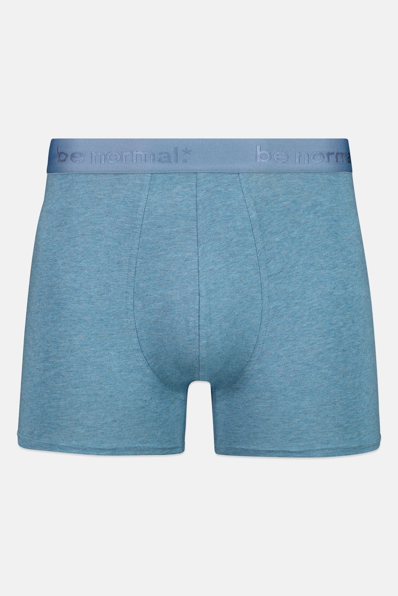 Men 1 Piece Brand Logo Boxer, Heather Blue