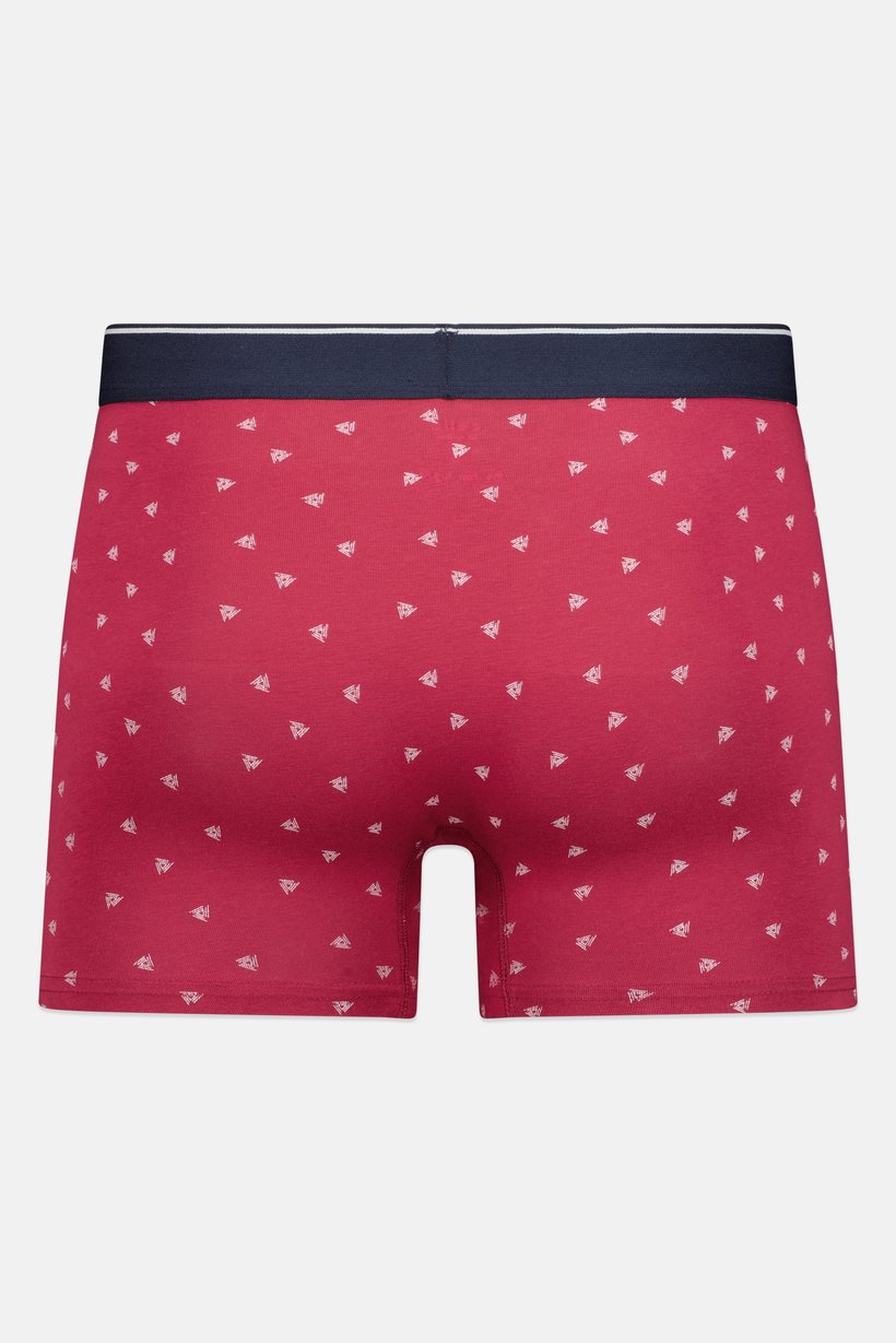 Men 1 Piece Allover Print Boxer, Multicolor