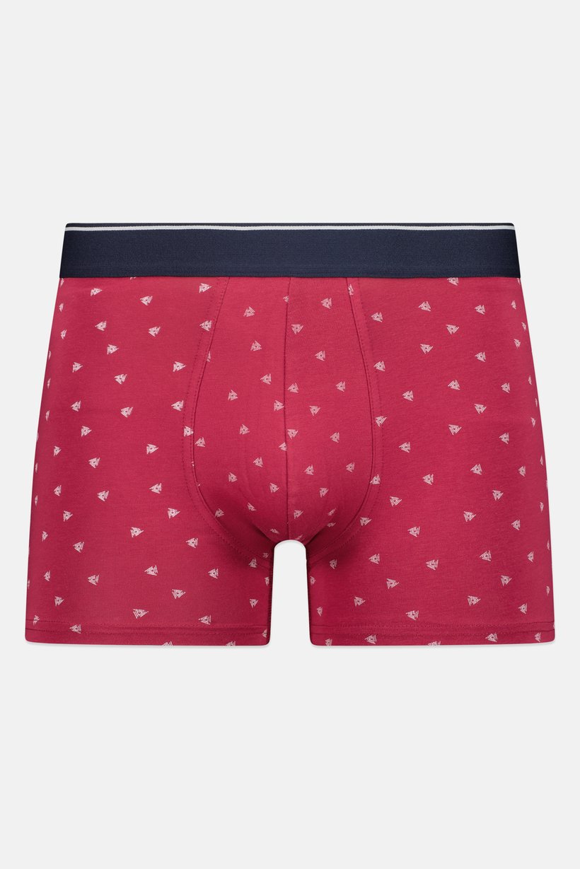 Men 1 Piece Allover Print Boxer, Multicolor