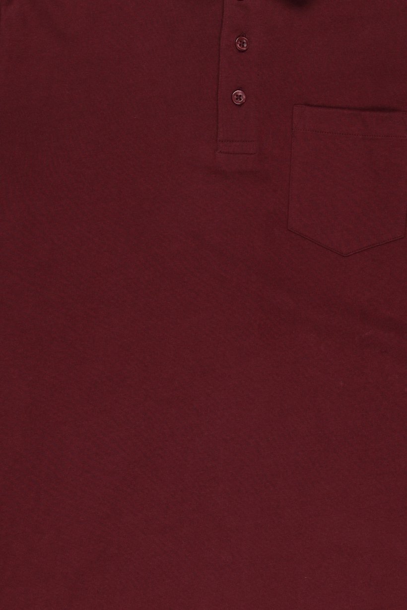 Men Regular Fit Long Sleeve Plain Polo, Burgundy