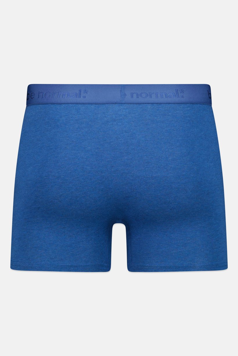 Men Embroidered Pull On Boxer, Heather Blue