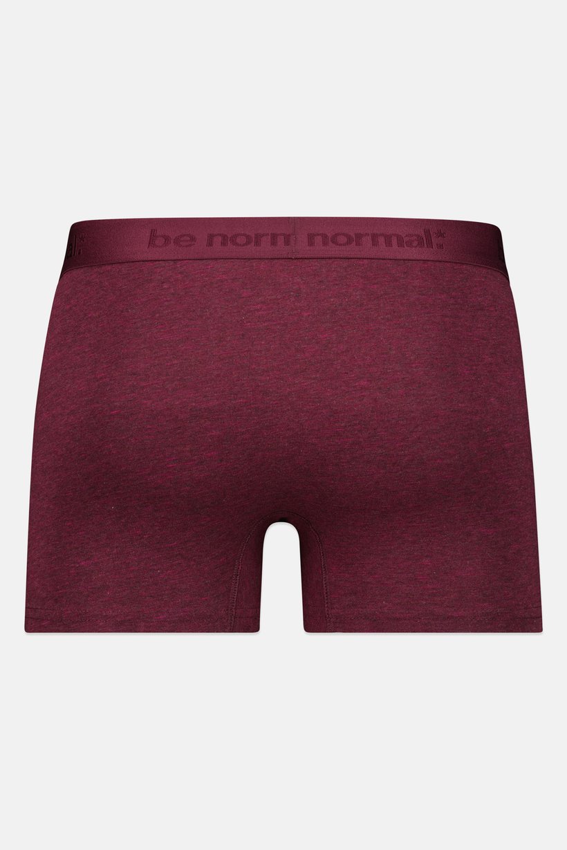 Men Brand Logo Boxer Brief, Burgundy