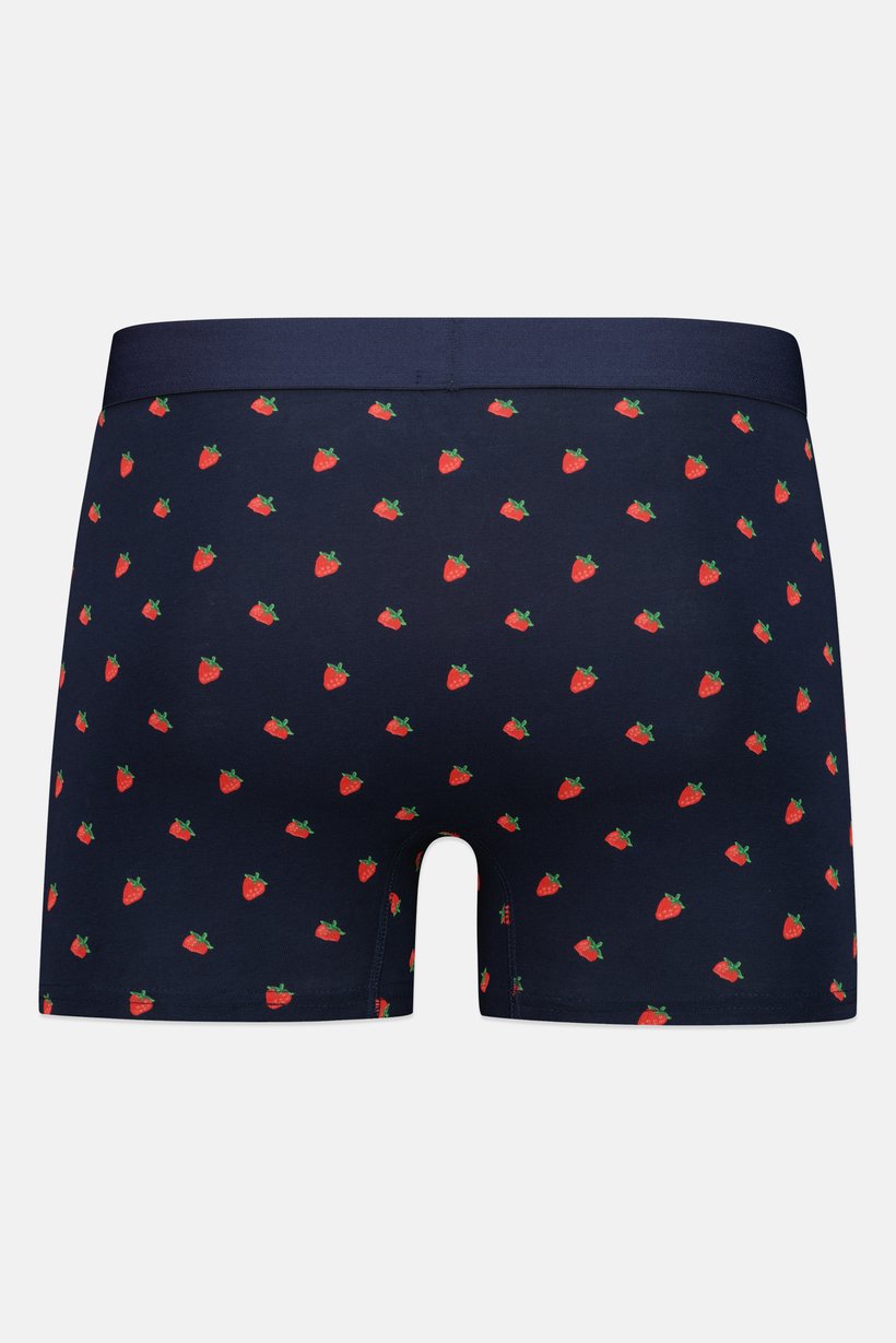 Men Allover Print Boxer Briefs, Multicolor